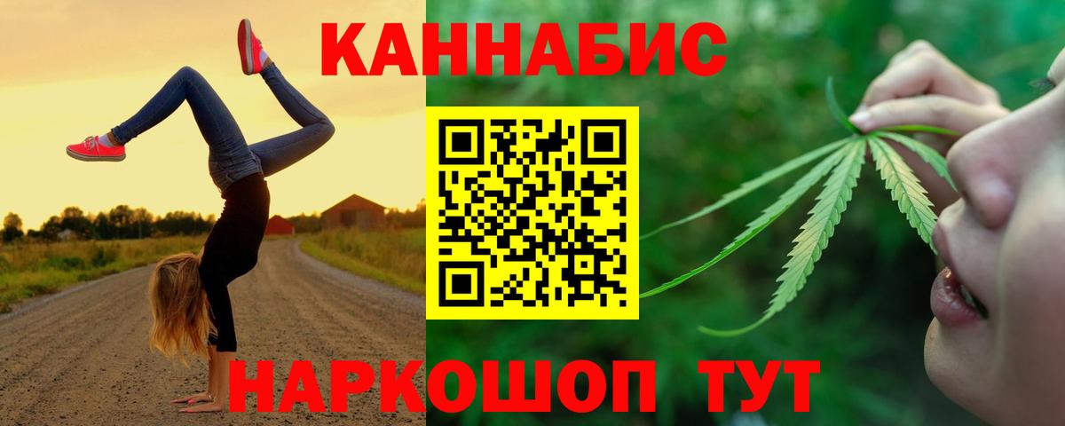 Конопля конопля Славгород
